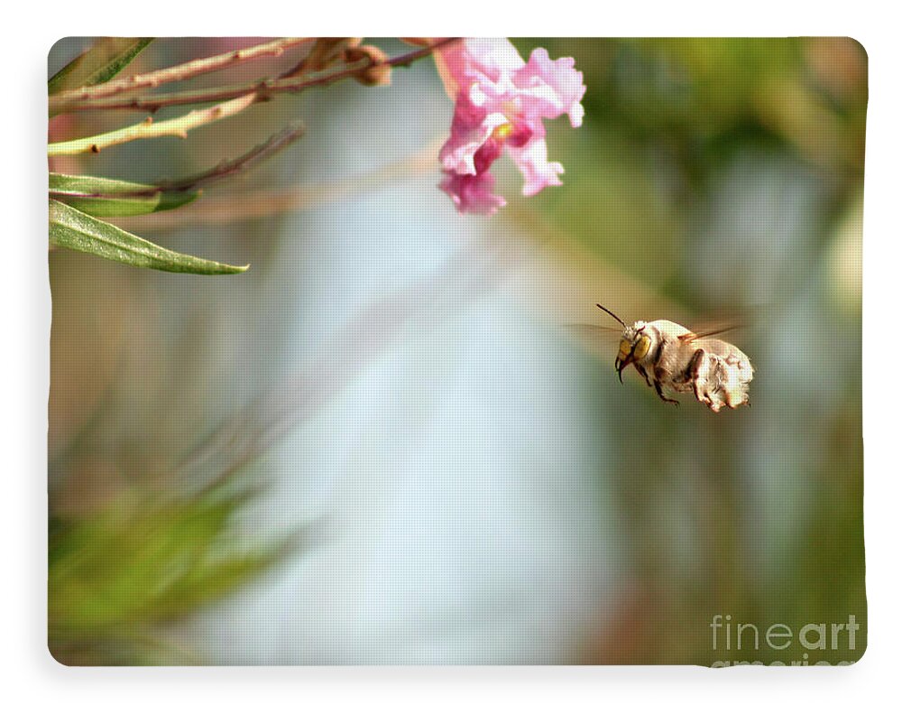 The Pollinator - Blanket