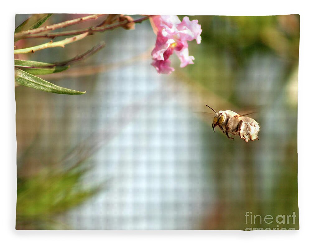 The Pollinator - Blanket