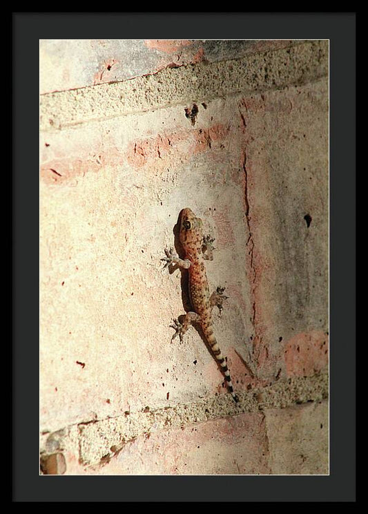 The Wall Walker - Framed Print