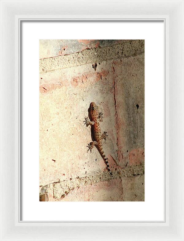 The Wall Walker - Framed Print