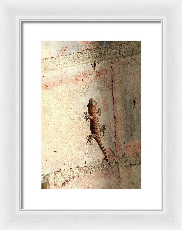 The Wall Walker - Framed Print