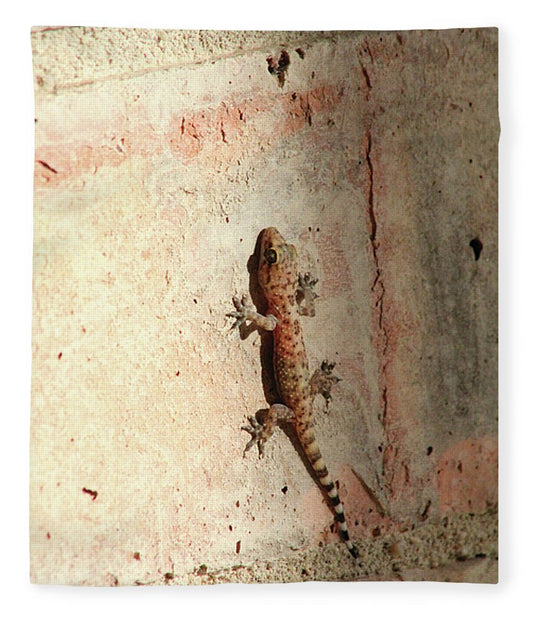 The Wall Walker - Blanket