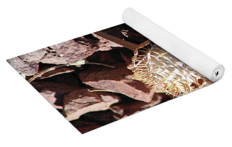 Thistle Fractures - Yoga Mat