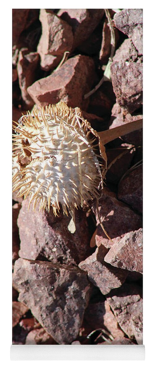 Thistle Fractures - Yoga Mat