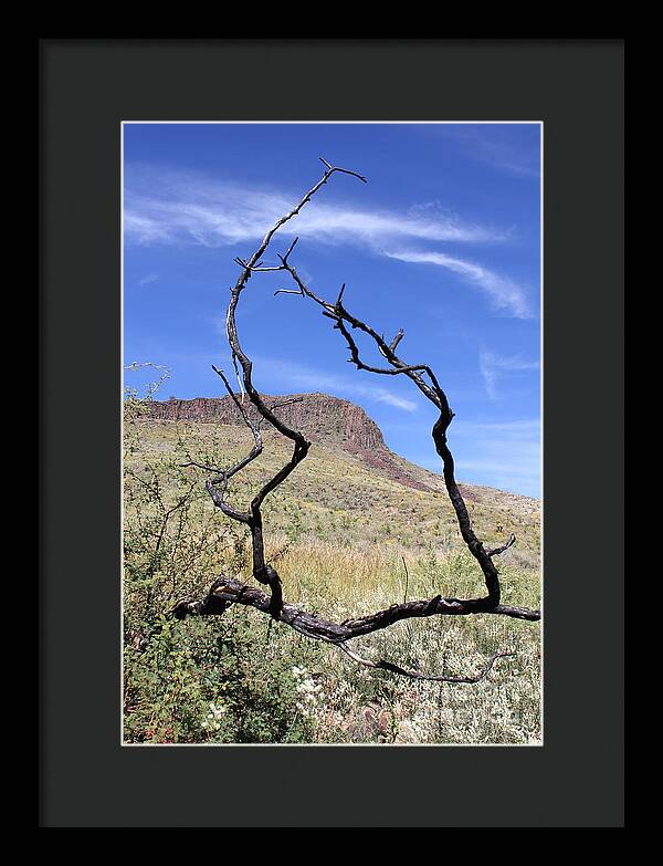Twig Window - Framed Print