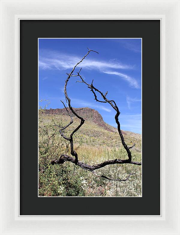 Twig Window - Framed Print