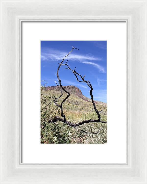 Twig Window - Framed Print