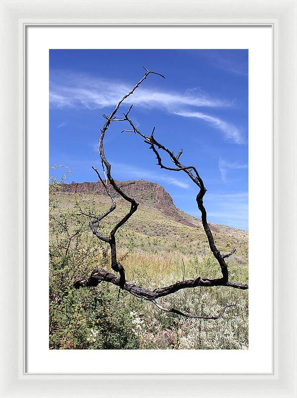Twig Window - Framed Print