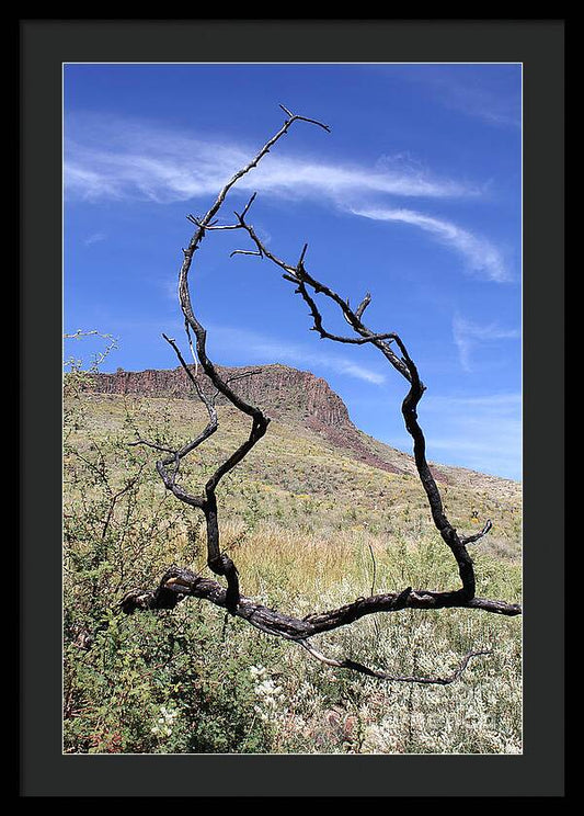 Twig Window - Framed Print