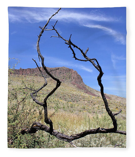 Twig Window - Blanket