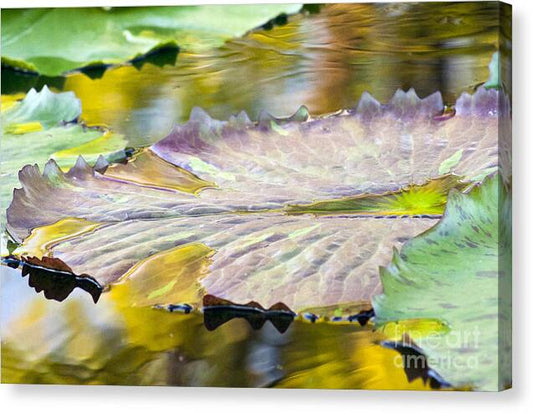 Vitality - Canvas Print
