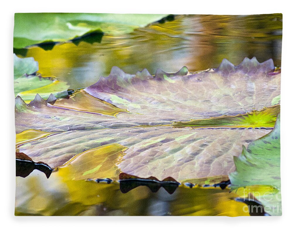 Vitality - Blanket