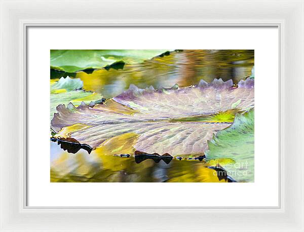 Vitality - Framed Print