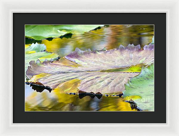 Vitality - Framed Print
