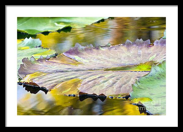 Vitality - Framed Print