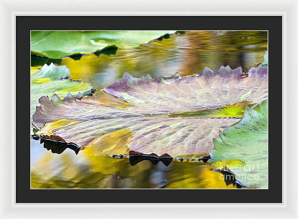 Vitality - Framed Print