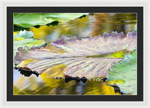Vitality - Framed Print