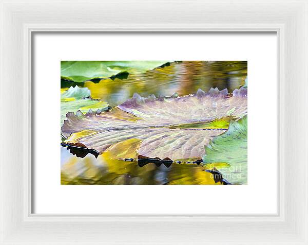 Vitality - Framed Print