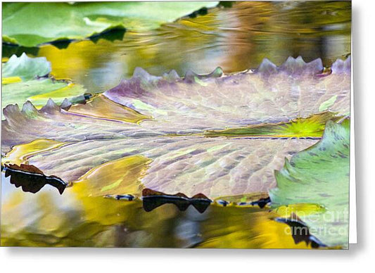 Vitality - Greeting Card