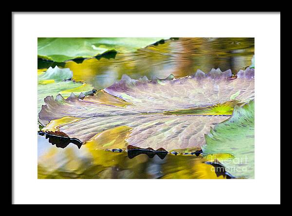 Vitality - Framed Print