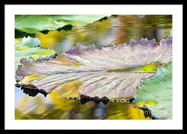 Vitality - Framed Print