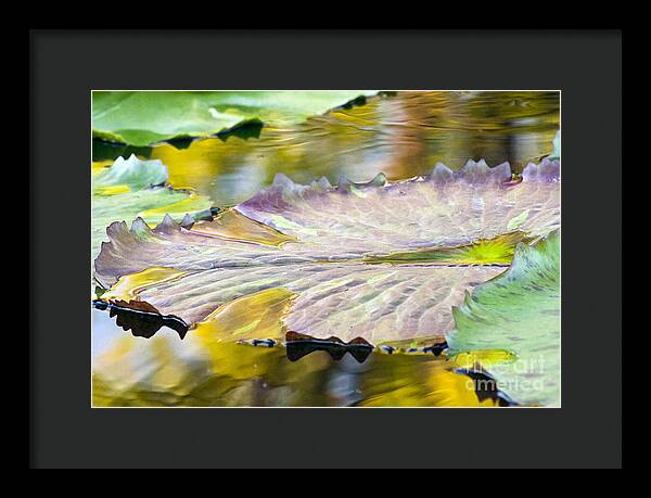 Vitality - Framed Print