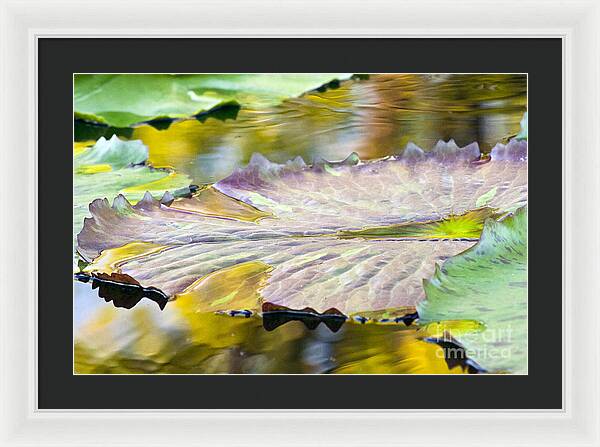 Vitality - Framed Print