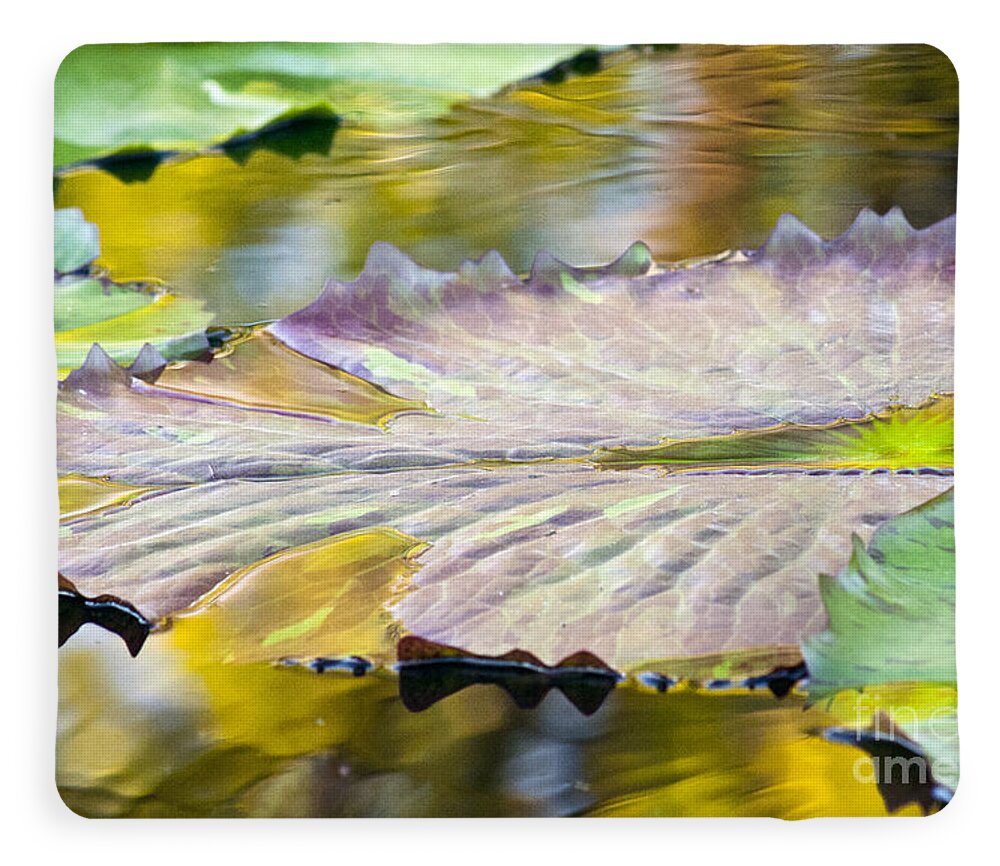 Vitality - Blanket