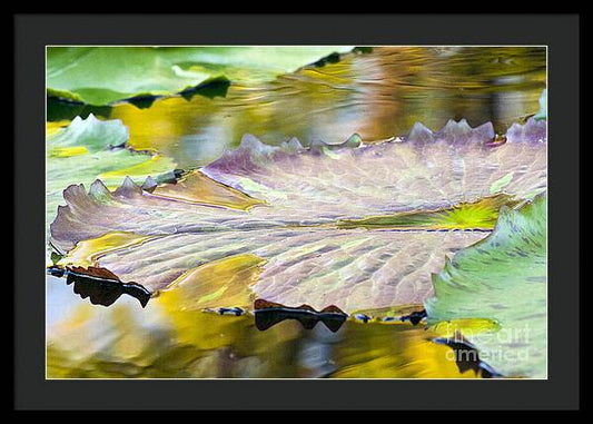 Vitality - Framed Print