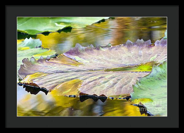 Vitality - Framed Print