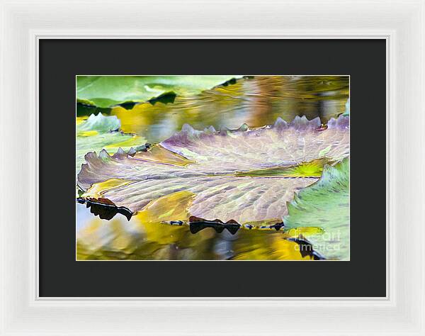 Vitality - Framed Print