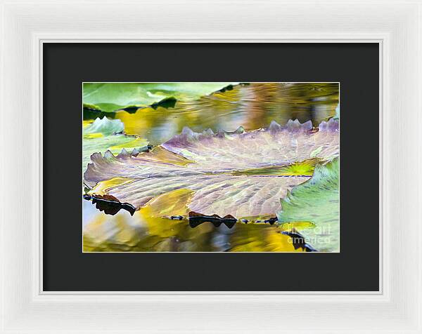 Vitality - Framed Print