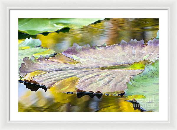 Vitality - Framed Print