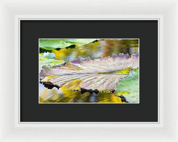 Vitality - Framed Print