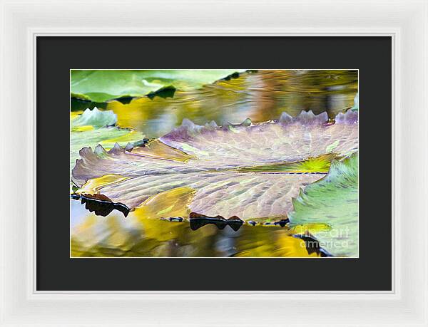 Vitality - Framed Print