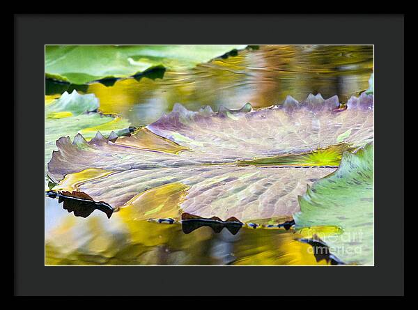 Vitality - Framed Print