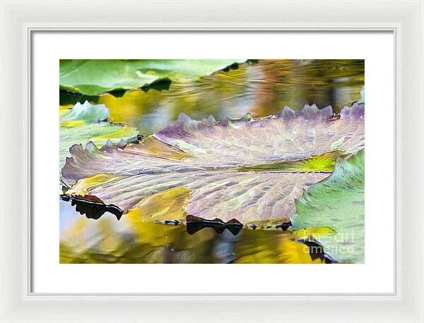 Vitality - Framed Print