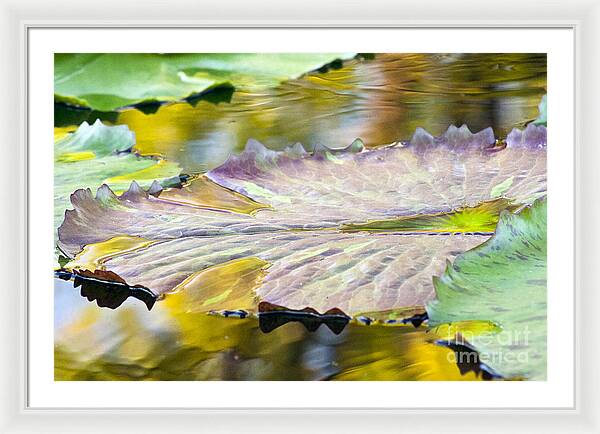 Vitality - Framed Print