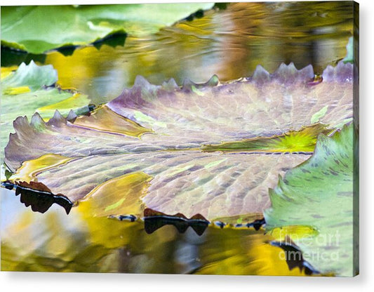 Vitality - Acrylic Print