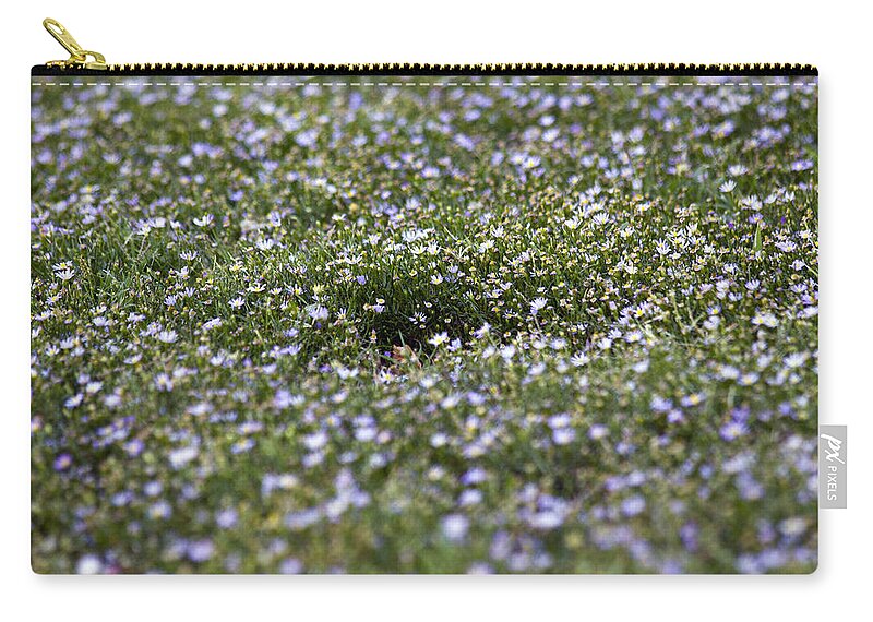 Wild Joy - Zip Pouch