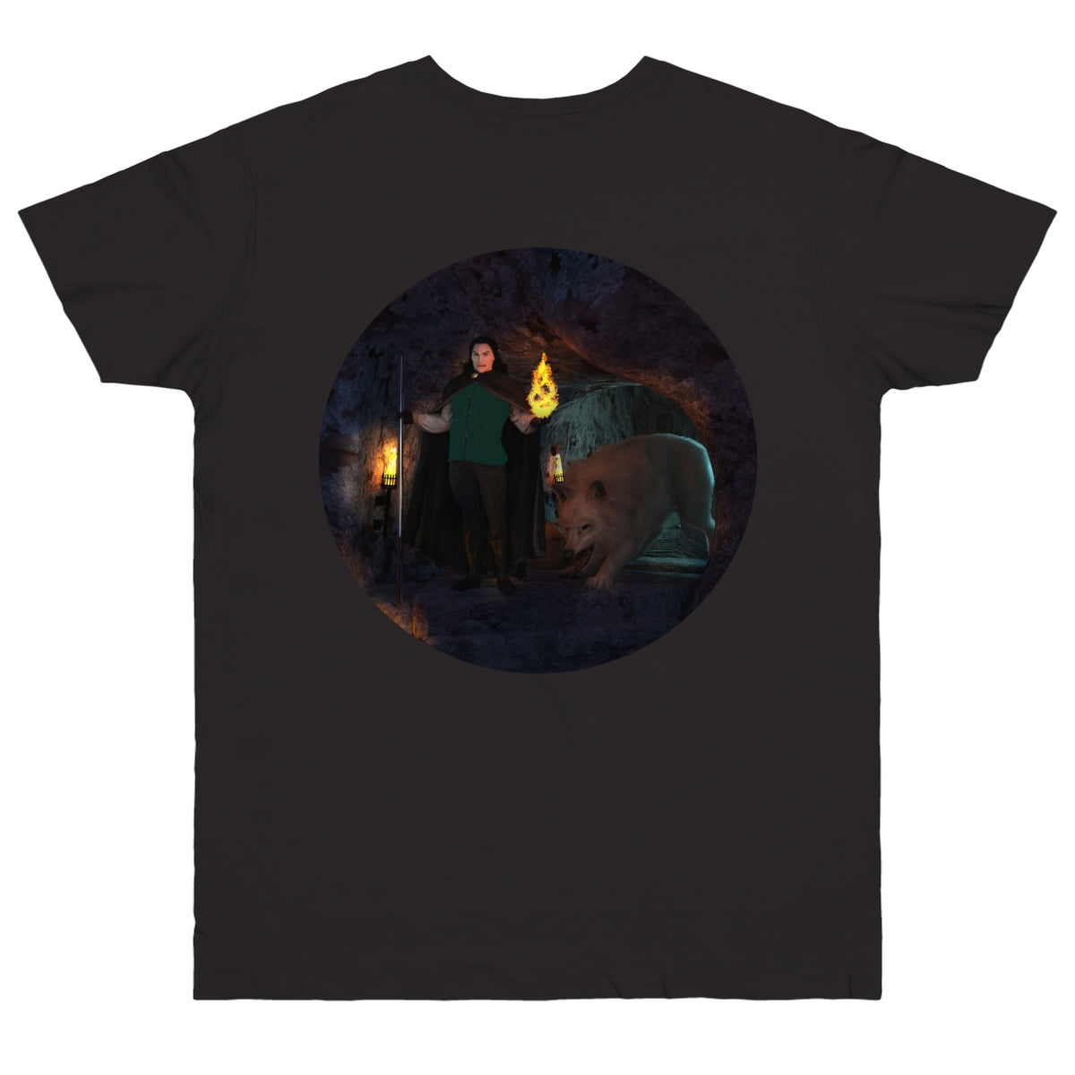 Women's Triblend Tee - Dhampir Dayalan & Defending the Cellar