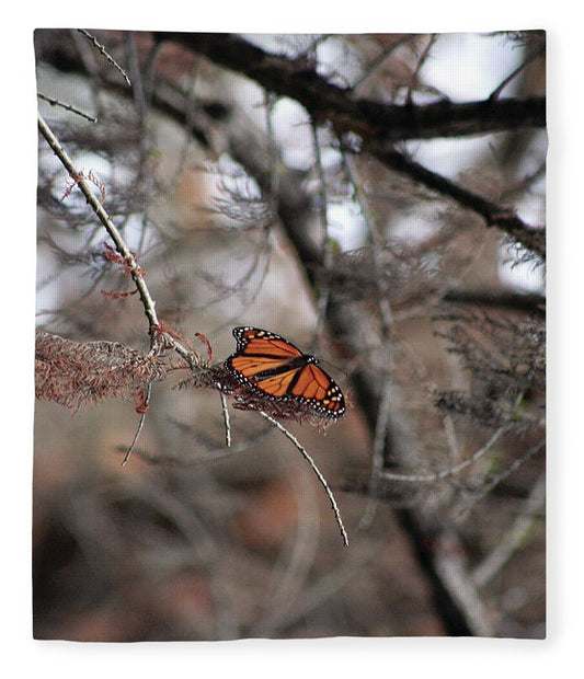 A Monarch for Granny - Blanket