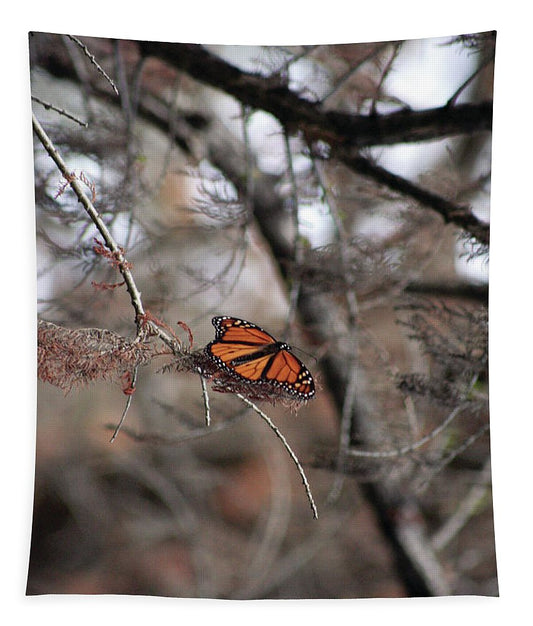 A Monarch for Granny - Tapestry