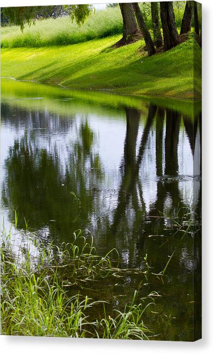 Afternoon Reflections - Canvas Print