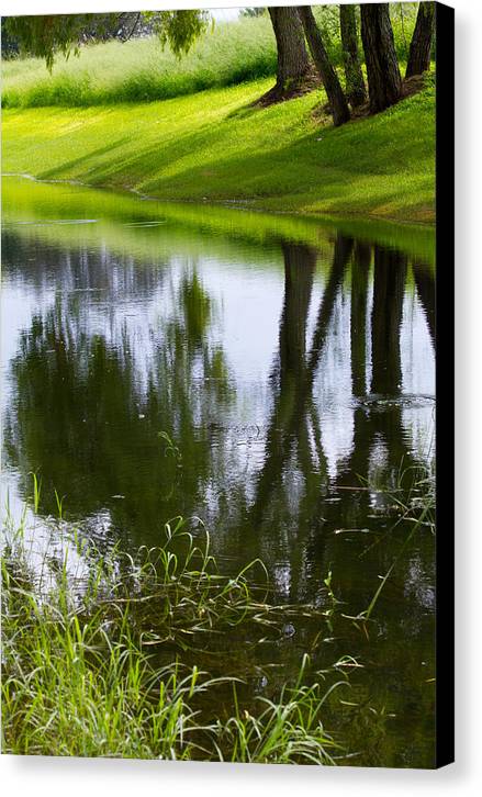 Afternoon Reflections - Canvas Print
