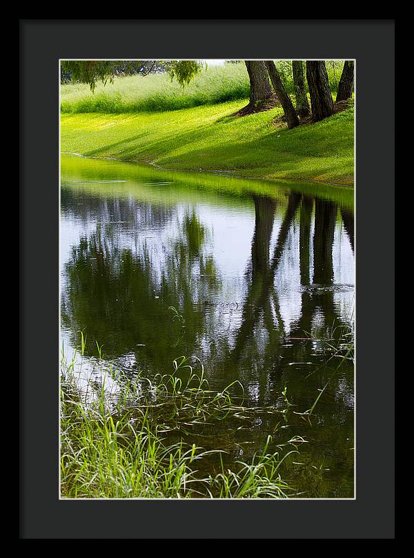 Afternoon Reflections - Framed Print