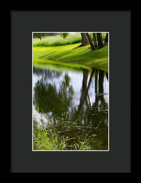 Afternoon Reflections - Framed Print