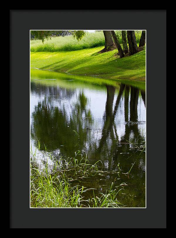 Afternoon Reflections - Framed Print
