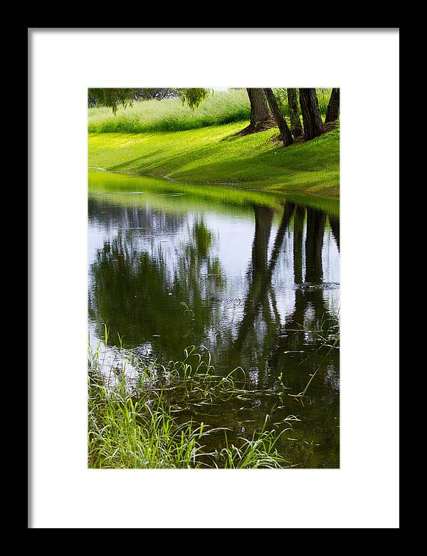 Afternoon Reflections - Framed Print