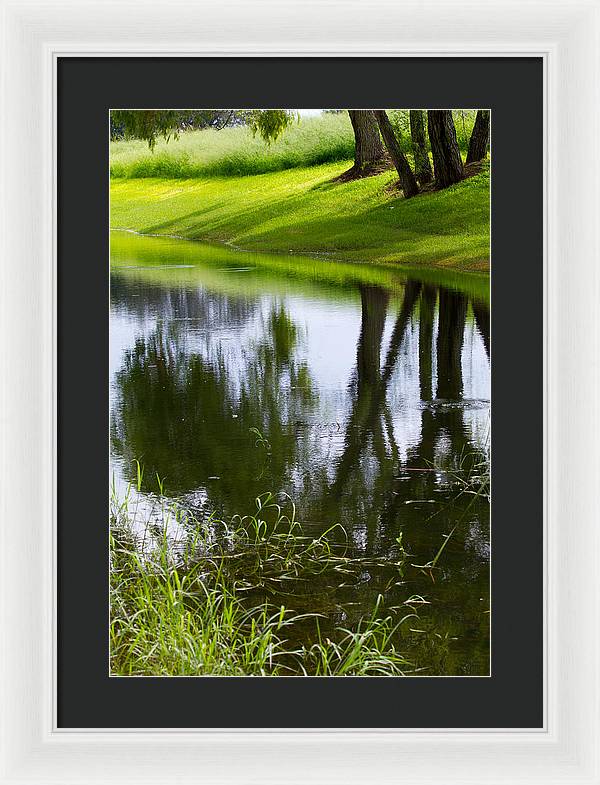 Afternoon Reflections - Framed Print